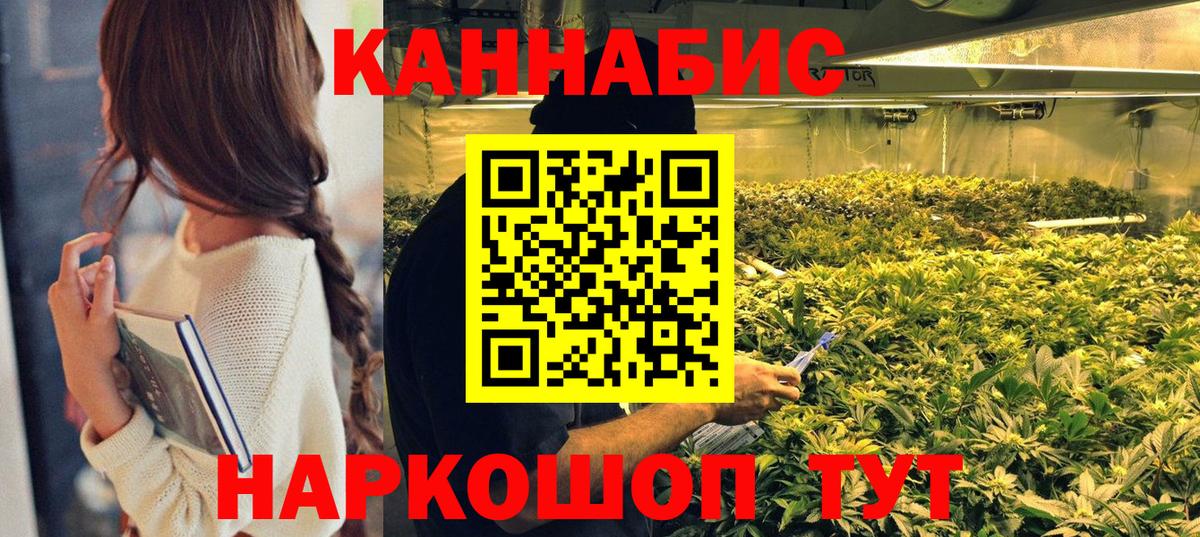 Новозыбков  Бошки марихуана индика  Вход с VPN  Марихуана OG Kush 